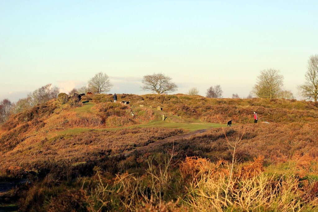 Bickerton and Egerton Parish Council