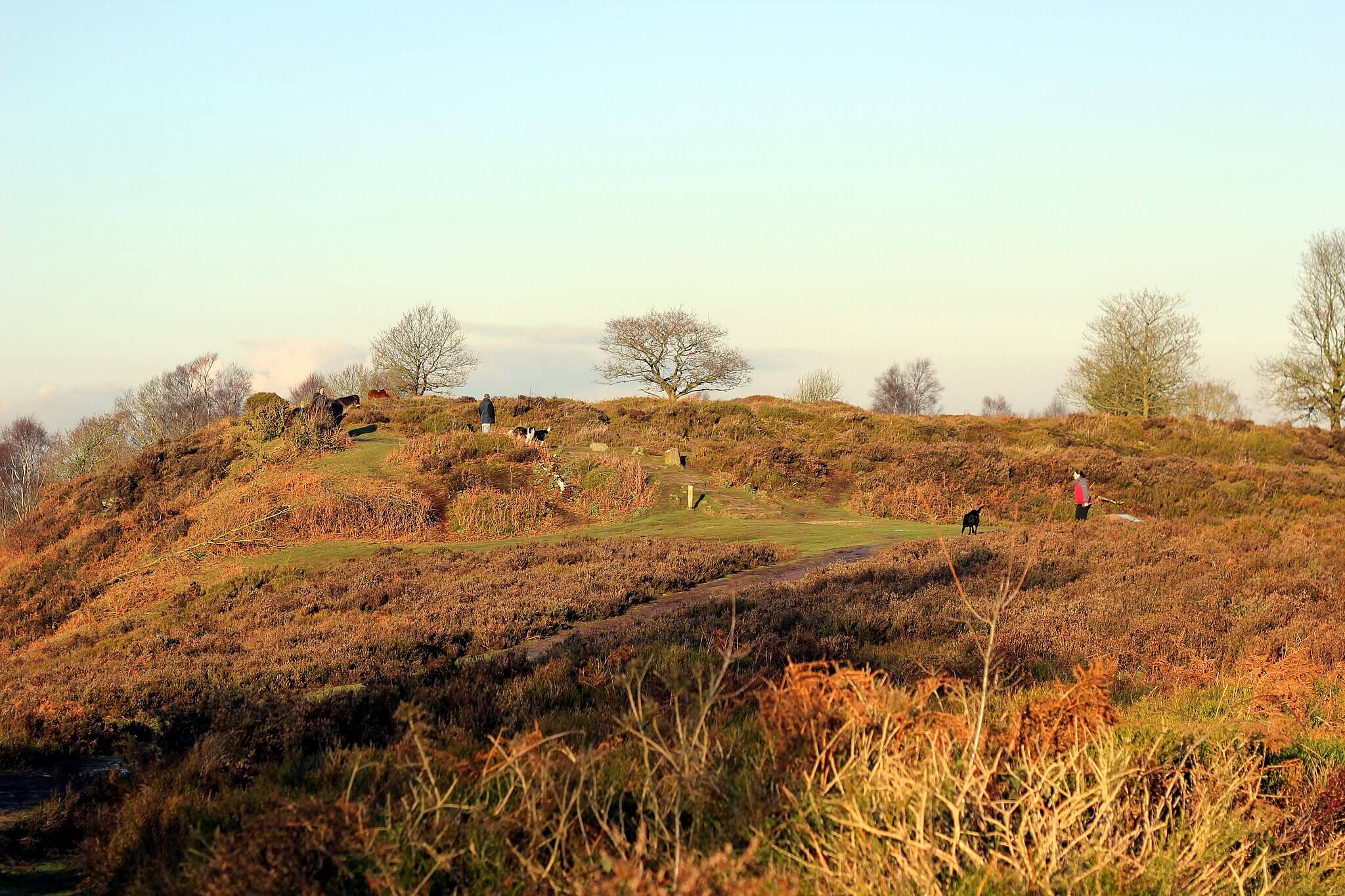 Bickerton and Egerton Parish Council